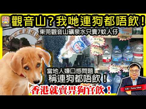 世界杯博彩指南