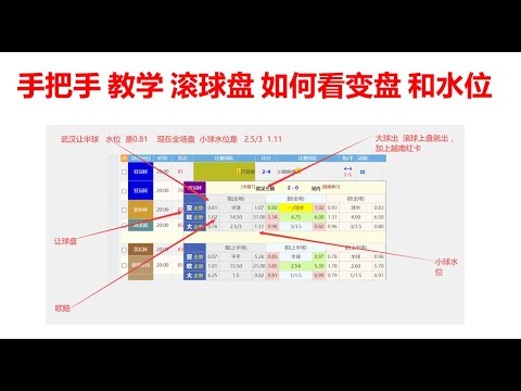 世界杯盘口分析