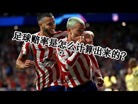 世界杯赔率汇总