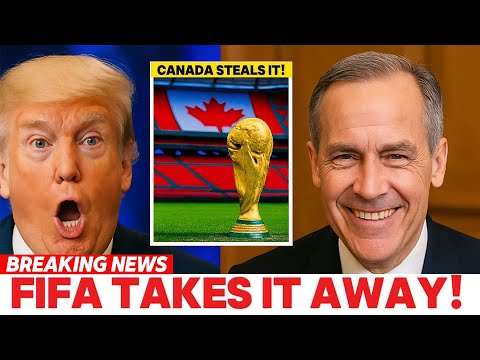 世界杯投注数据