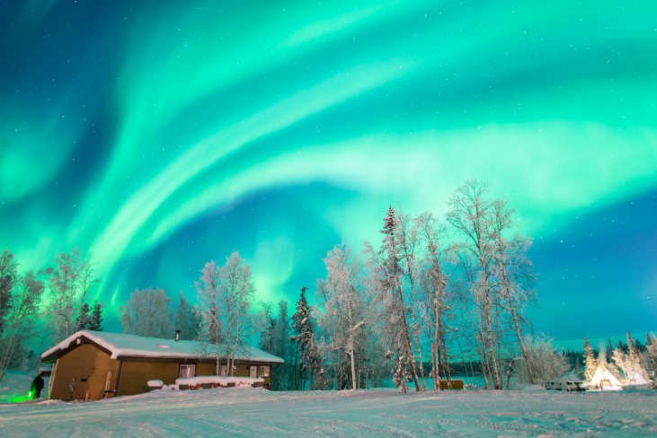 世界杯冠军赔率