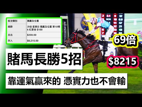 世界杯进球数赔率