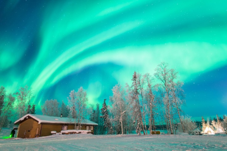 世界杯赔率动态