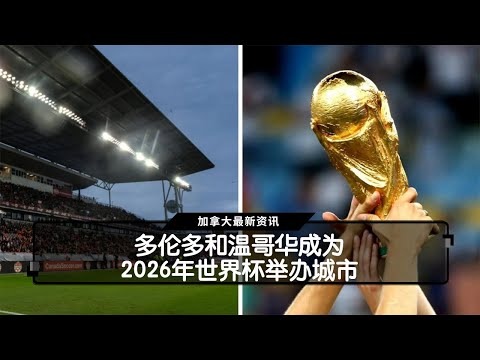 2026年世界杯