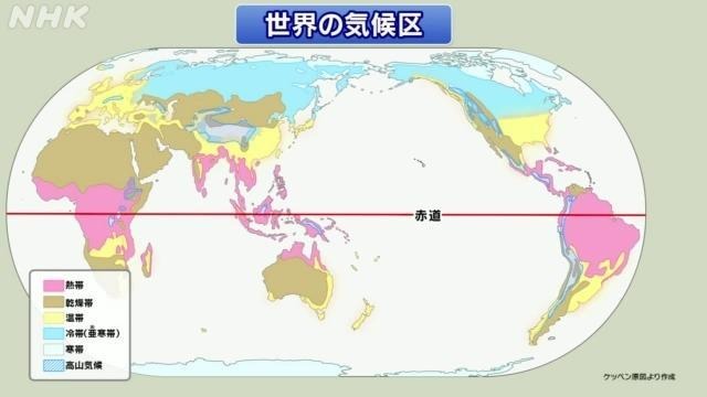 世界杯盘口分析