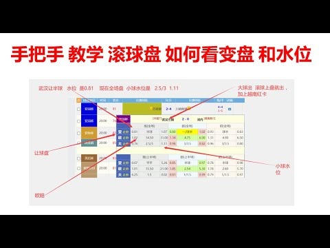 世界杯胜负赔率