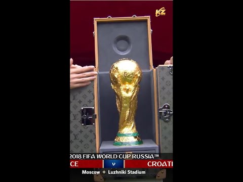 世界杯投注数据