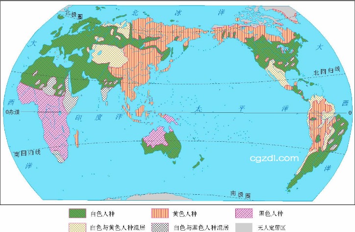 世界杯投注数据