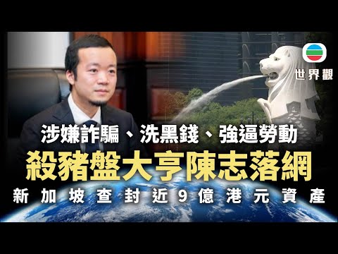 世界杯博彩指南