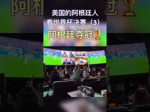 世界杯投注数据