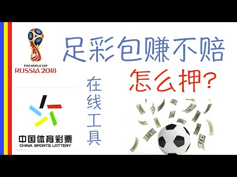 世界杯投注数据