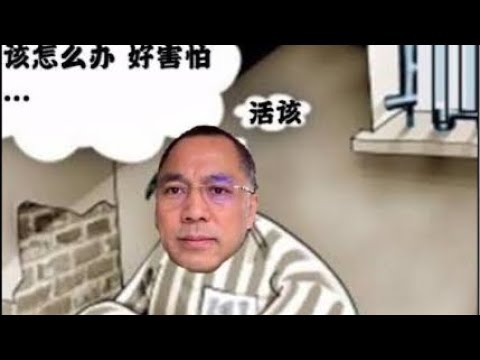 世界杯投注数据