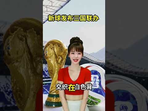 2026年世界杯