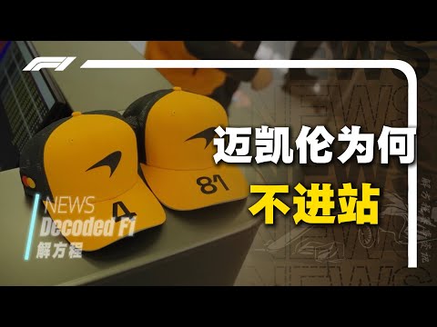 世界杯赔率汇总