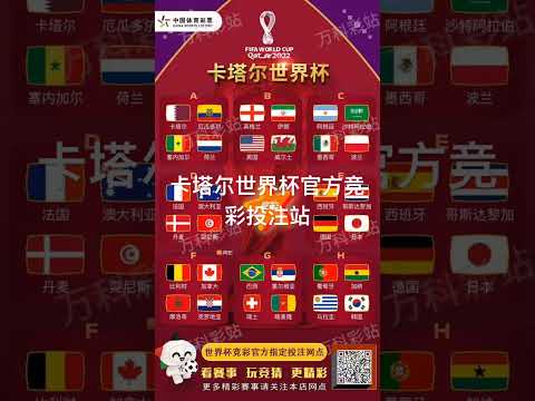 世界杯投注数据