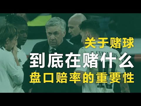 世界杯赔率汇总