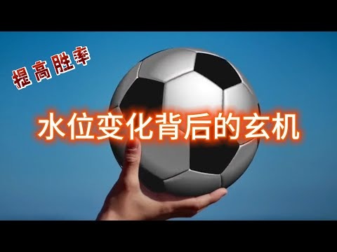 世界杯投注赔率