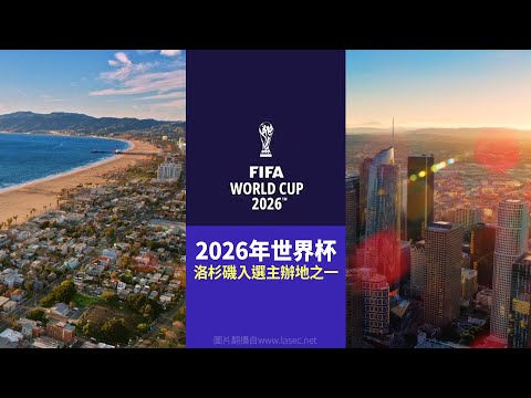 2026年世界杯