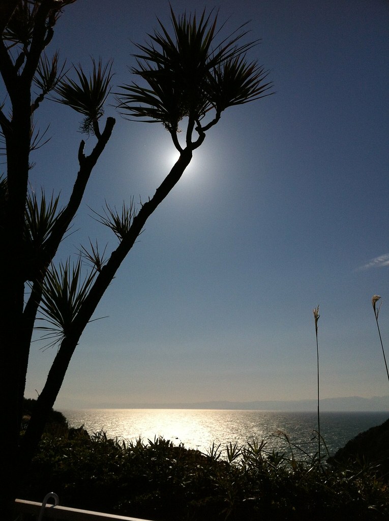 世界杯进球数赔率