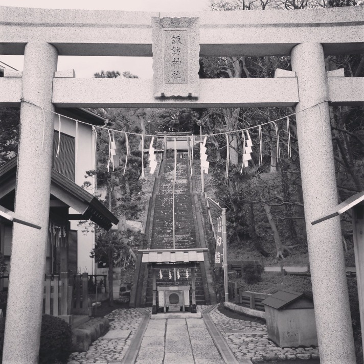 世界杯进球数赔率