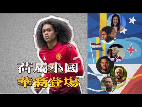 世界杯投注数据