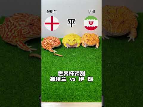 世界杯冷门赔率