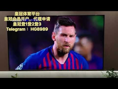 世界杯投注数据